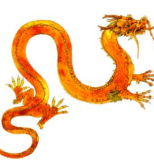 interiores2-dragon2