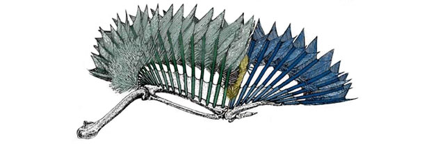 volar2