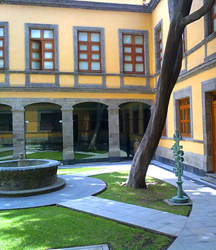 45-curiosidadesninos-interior1