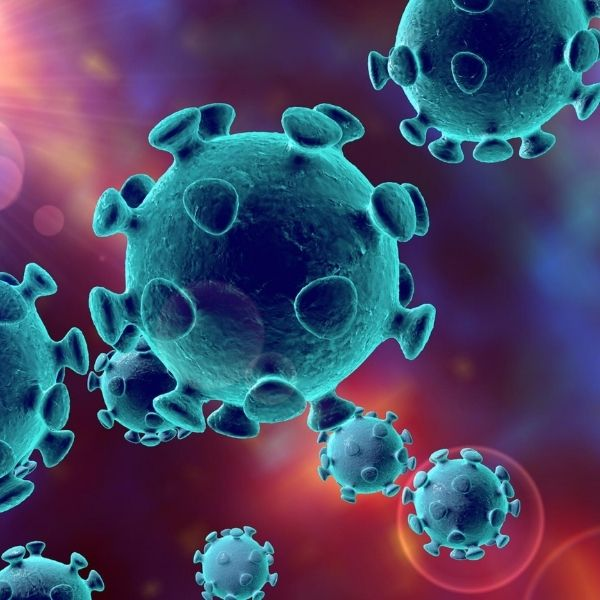 Epidemias de la Ciudad de México