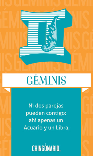 S24-3Geminis