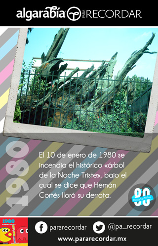 s25-Lunes-Dato