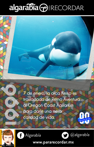 s31-7Domingo-dato