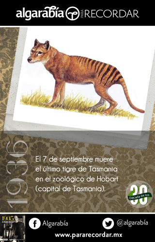 s33-7Domingo-dato