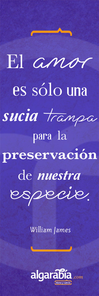 s35-frases