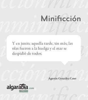 s36-minificcion