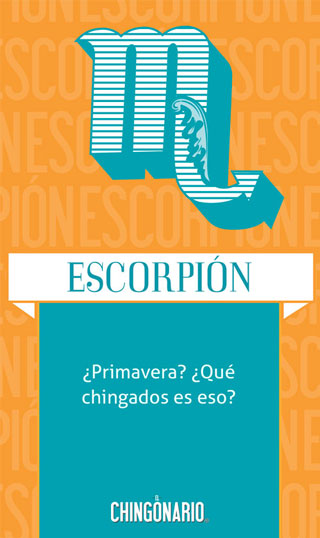 8Escorpion-WEB
