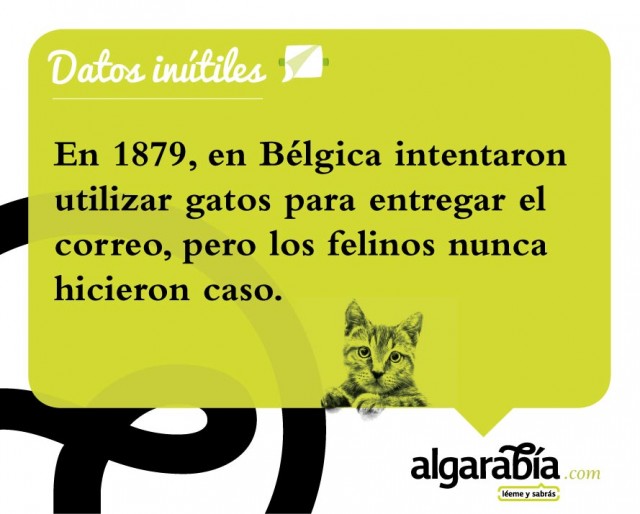s10-datos-inutiles-post-WEB