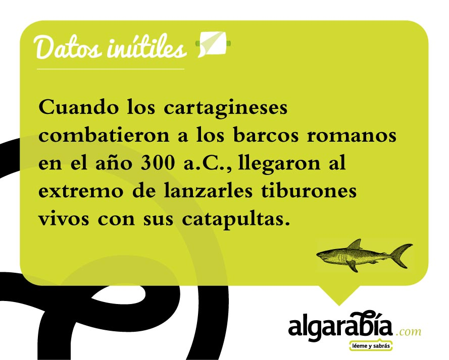 s12-Datos-Inutiles-Post-WEB
