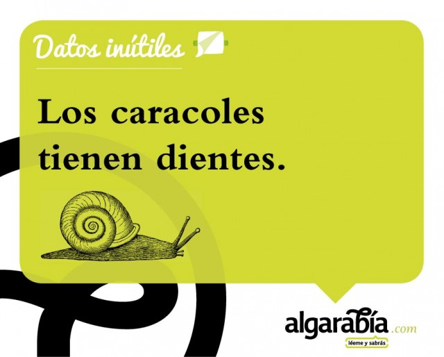 s17-Datos-Inutiles-Post-WEB