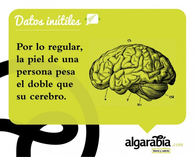 S20-Datos-Inutiles-Post-WEB