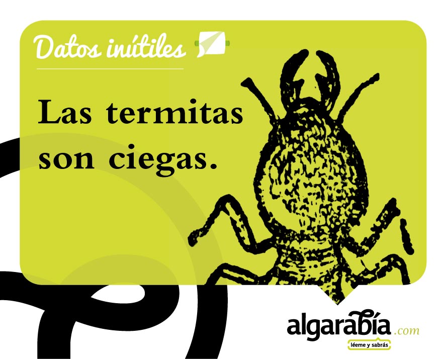 S22-Datos-Inutiles-Post-WEB