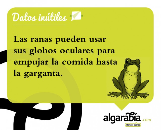 s23-Datos-Inutiles-Post-WEB