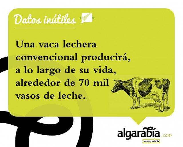 s24-Datos-Inutiles-Post-WEB