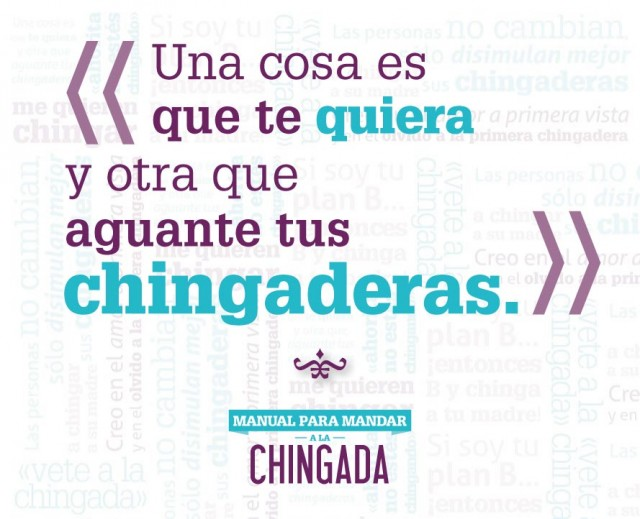s24-Manual-CHINGADA-WEB