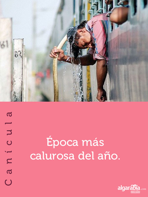 s24-palabrota-WEB