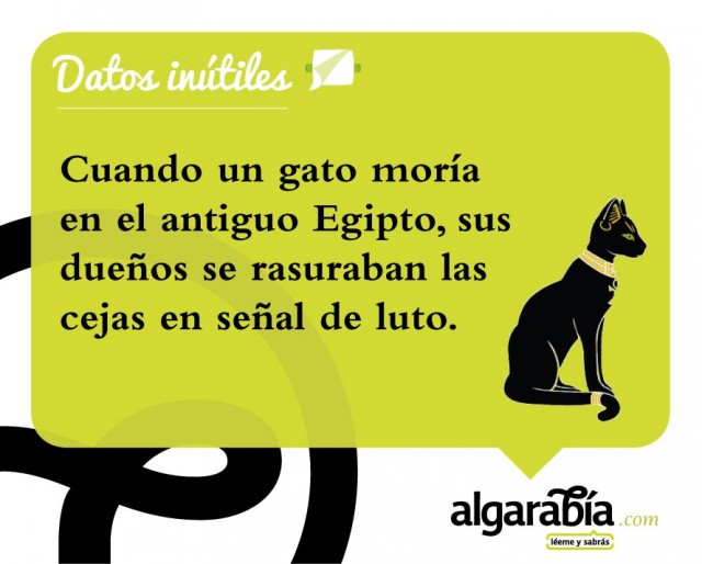 s25-Datos-Inutiles-Post-WEB