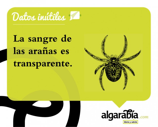 s26-Datos-Inutiles-Post-WEB