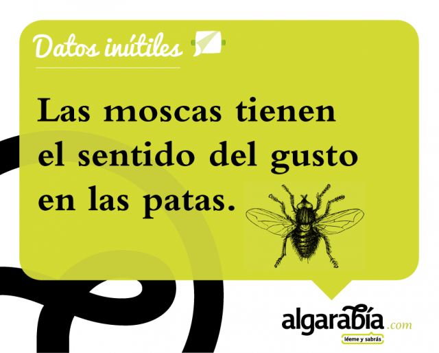 s28-Datos-Inutiles-Post-FB
