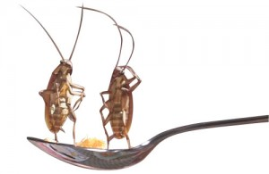 s28-encuesta-ninos-cucarachas-cuchara