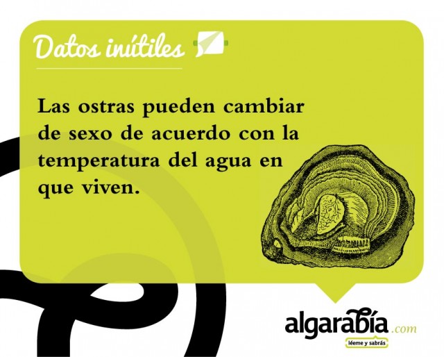 s31-Datos-Inutiles-Post-WEB