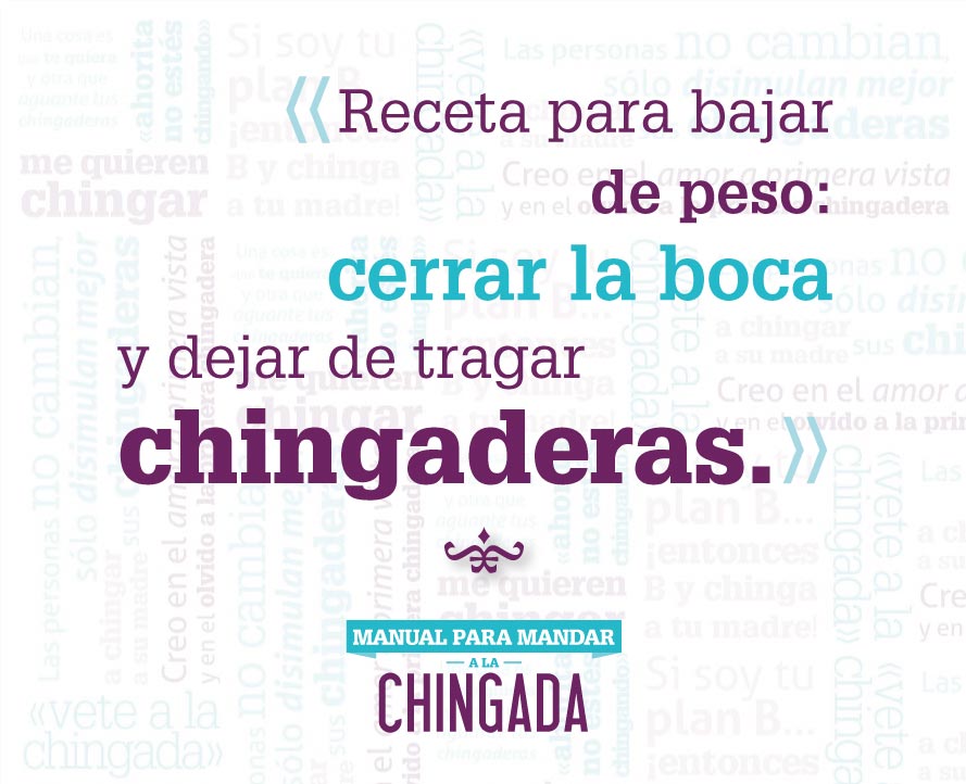 s33-Manual-CHINGADA-WEB