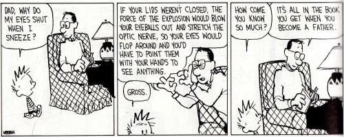 post-21446-Calvin-and-Hobbes-why-do-my-ey-xX7e
