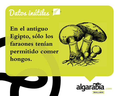 s43-Datos-Inutiles-Post-WEB