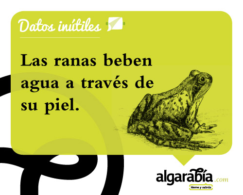 s48-Datos-Inutiles-WEB