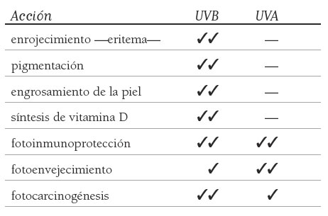 s12-curiosidades-tabla-1