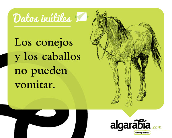 s9-Datos-Inutiles-Post-WEB