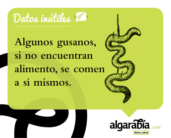 s15-Datos-Inutiles-Post-WEB