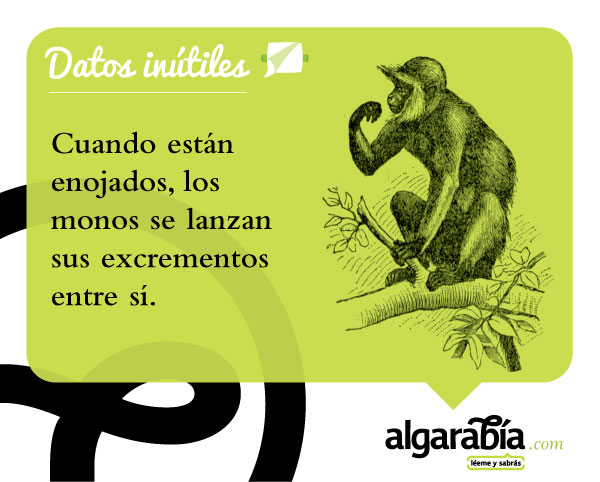 s16-Datos-Inutiles-Post-WEB