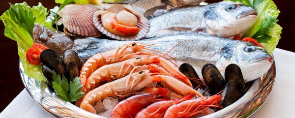 s17-gastrofilo-ingredientes