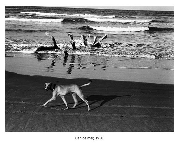 s20-quienfue-can-de-mar