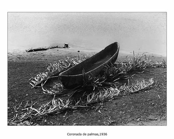 s20-quienfue-coronado