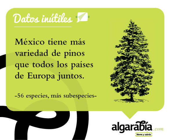 s29-Datos-Inutiles-Post-WEB