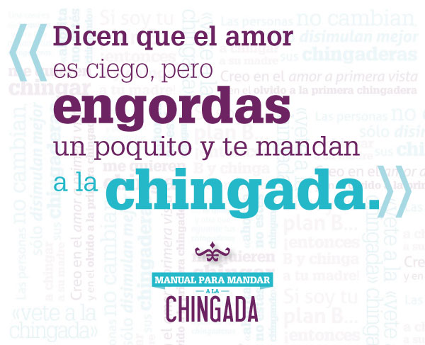 s41-Manual-CHINGADA-WEB