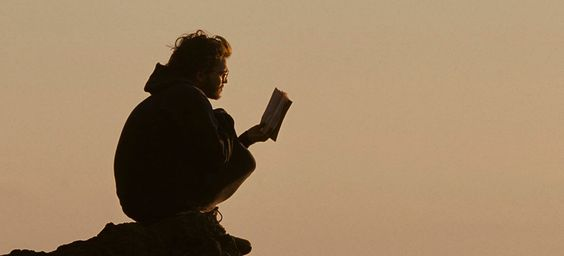 Into the wild
