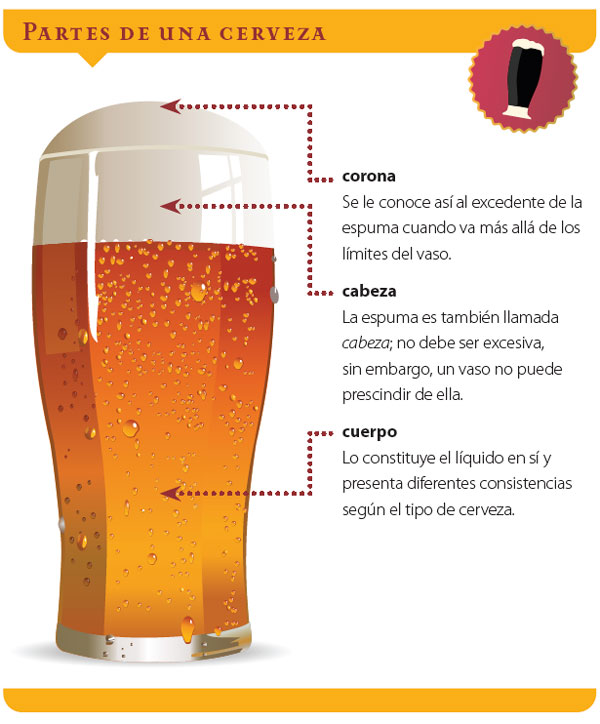 s29-curiosidades-partes-cerveza