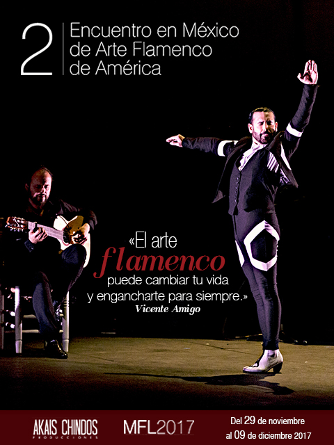 flamenco-5