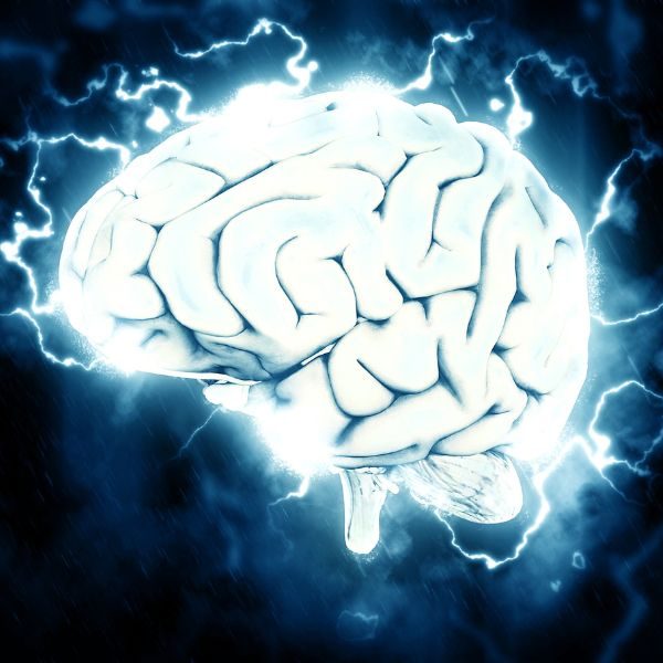 Neuroplasticidad —o ¿tenemos cerebro de plástico?—