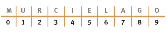 s36-ciencia-murcielago