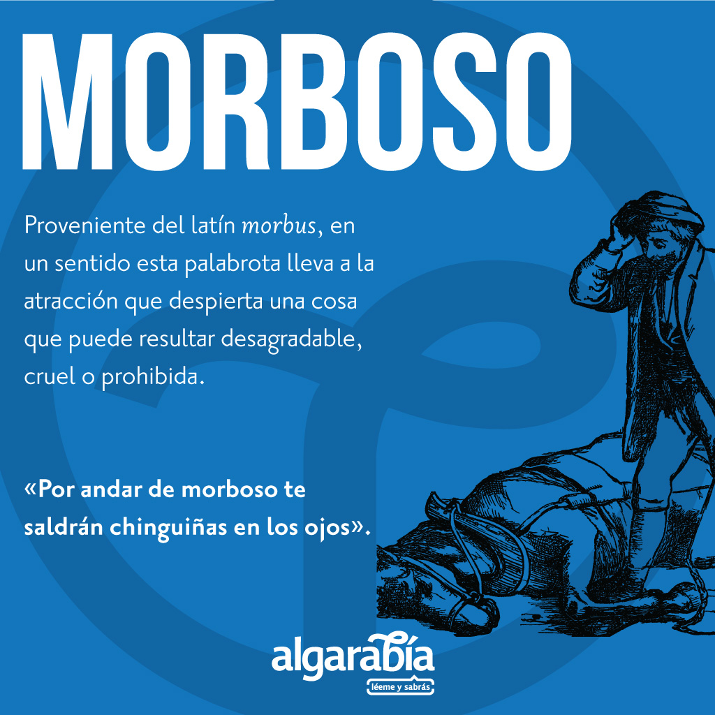 s48-palabrotas-morboso