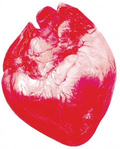 s6-mito-corazon
