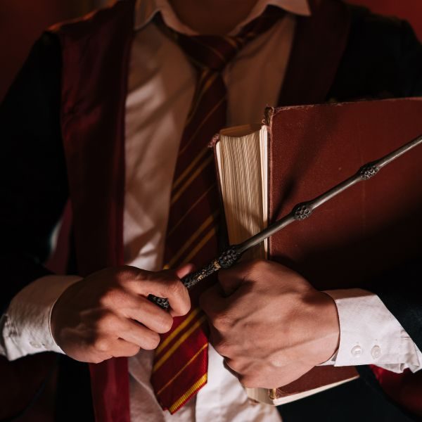Harry Potter para expertos