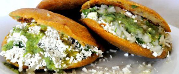 s37-gastrofilo-gorda