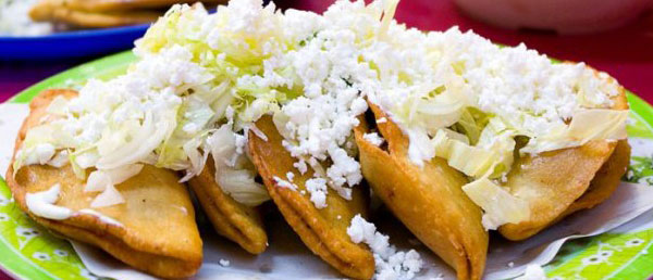 s37-gastrofilo-quecas