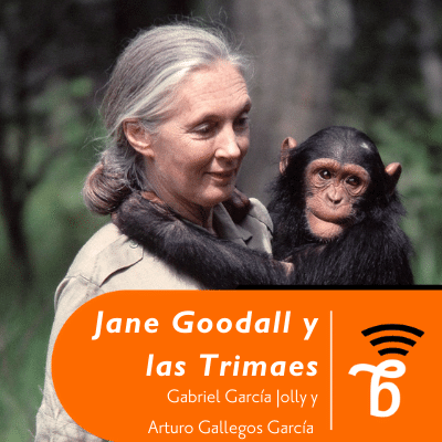 Jane Goodall y las trimates