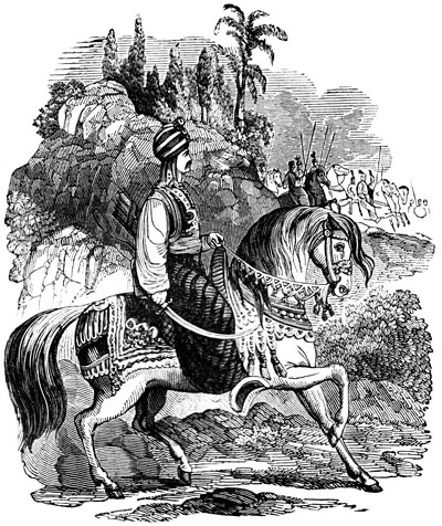 s29-literatura-sultan